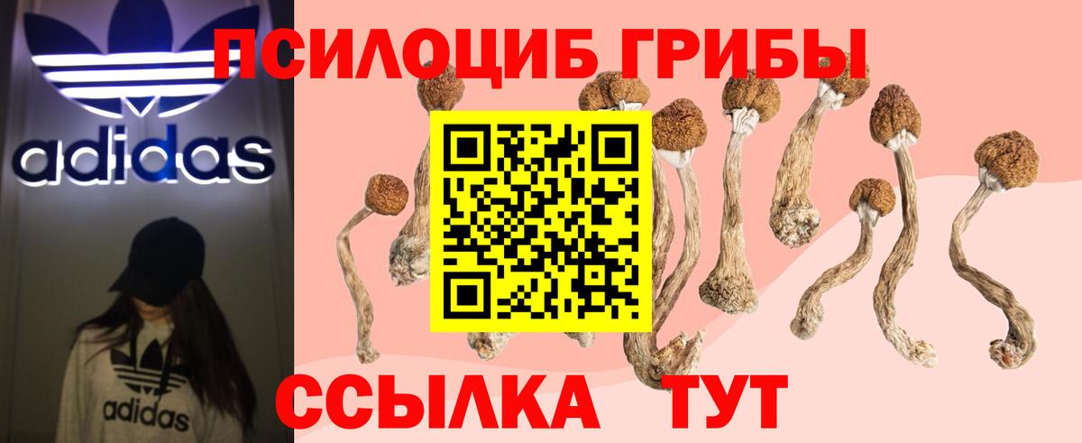 Галлюциногенные грибы Psilocybe Стрежевой