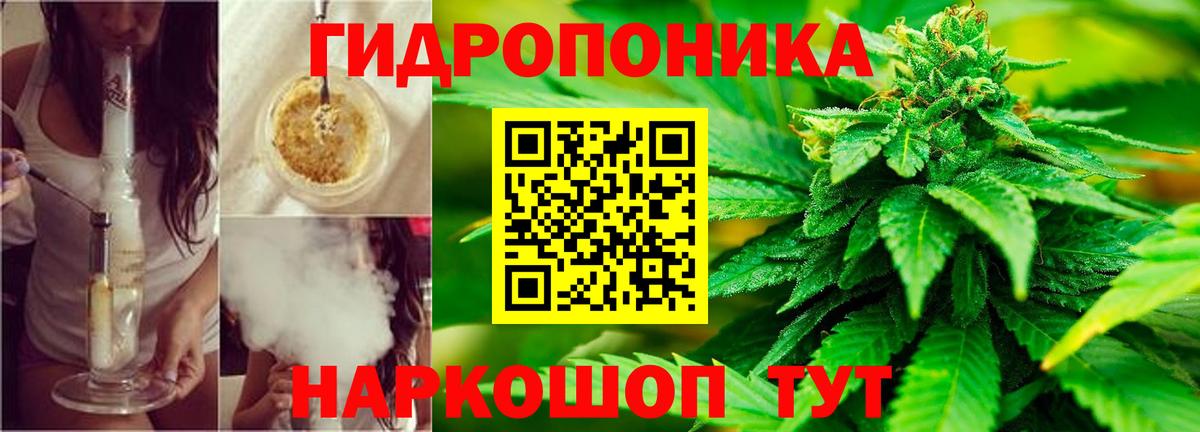 Стрежевой  Шишки марихуана тримм  Канабис Bruce Banner  Вход с VPN  Каннабис Ganja 